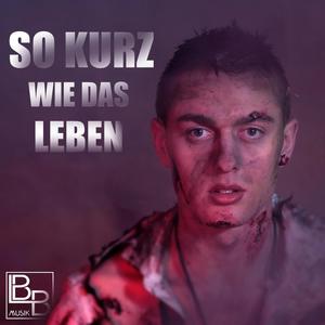 SO KURZ WIE DAS LEBEN (feat. Sophia Bächlin & MVRTIN)