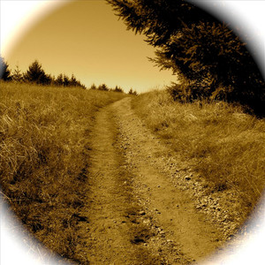Colorado Trail