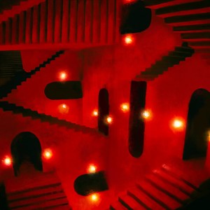 I Will Take the Acid