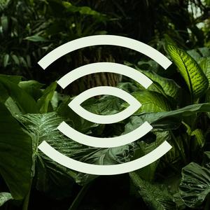 Photosynthesis (feat. Morell)