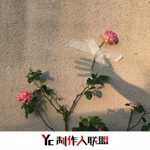 最后的莫西干人+谁能明白我 (第二弹)