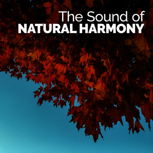 The Sound of Natural Harmony