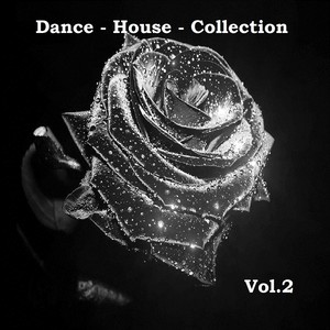 Dance House Collection, Vol. 2 (Explicit)