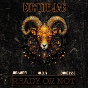 Ready or Not (feat. Madliv, Sonic Esso & Archangel) [Explicit]
