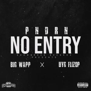 No Entry (feat. Big Wapp & UYG Flizop) [Explicit]