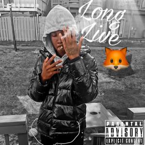 LLFox (Official Audio) (feat. luldono) (Explicit)