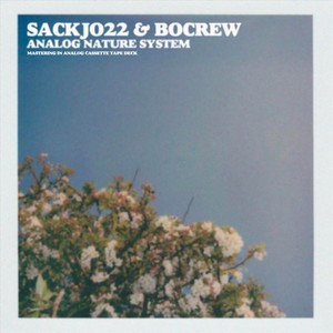 Choice May Change Analog (feat. Sackjo22)