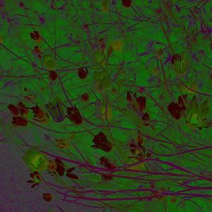 Stay inside, stay safe.