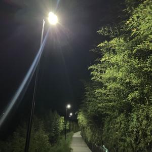 aroha mai, aroha atu... *og ver*