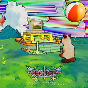 ER = EPR ~ EoE (EP ∆ P = ER) (Unknown Caller remix)