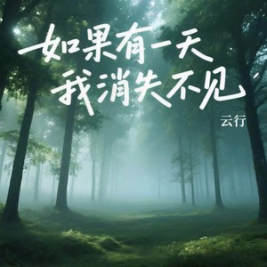 如果有一天我消失不见