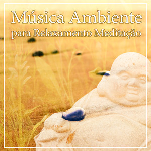 Música Ambiente para Relaxamento Meditação - Música para Dormir, Som do Oceano para a Massagem e Meditação, Livro de Leitura