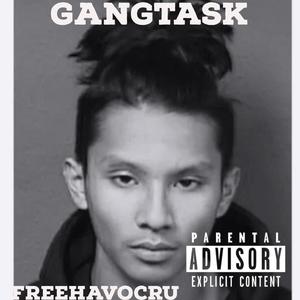 Gang Task (free Havoc) (feat. HavocRu) [Explicit]