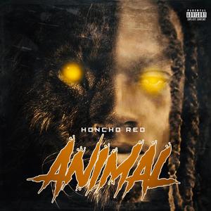 Animal (Explicit)