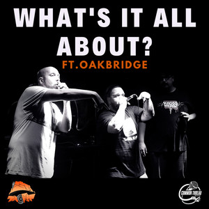 What's It All About? (Sounds Like Dsipl Remix)