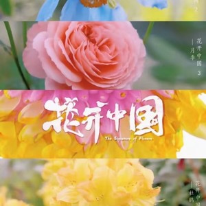 花开在春天