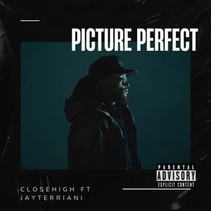 Picture Perfect (Explicit)