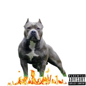 Big Dog (Explicit)