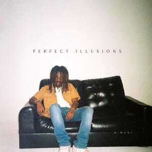 Perfect Illusions (Explicit)