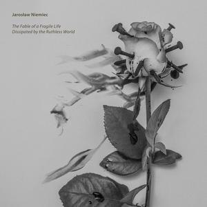 The Unsolvable Mystery of Desolated Life (feat. Lindsay Schoolcraft)