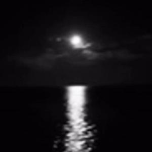 Beautiful Occasion (feat. Ace The Outcast) (Explicit)