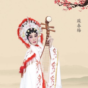 客途秋恨 (Live)封面