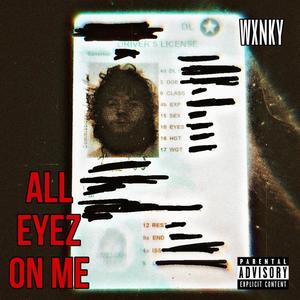 ALL EYEZ ON ME (Explicit)