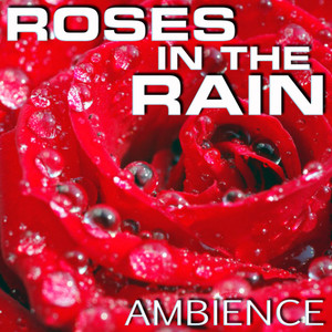 Roses in the Rain Ambience