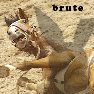 brute