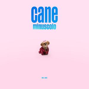 Cane Minuscolo (Explicit)