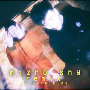 MIZNÚ SNY (REMIX) [Explicit]