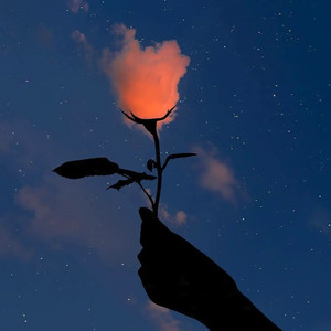 吴哥窟+相对湿度 (DJ版)