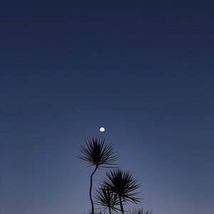 Prakash Chandra - बादलों ने पोल खोल दी