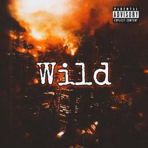 Wild (Explicit)