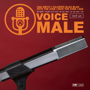 VOICE MALE