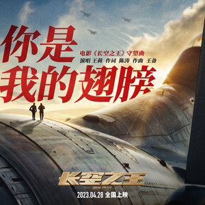 你是我的翅膀封面