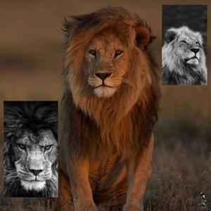 Umoja!?(feat. Izzo Kenpachi)