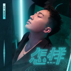 怎样 (伴奏)
