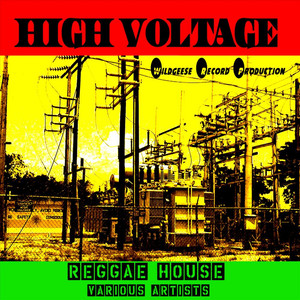 High Voltage Reggae House