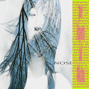 nose (alles) (feat. sotbarn & pauley) (Explicit)