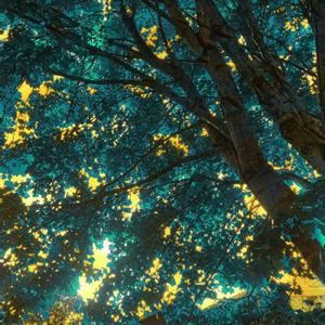 Let's Go (feat. Designates)