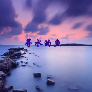 寻水的鱼 (DJ版)