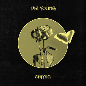 Die Young (Remix)