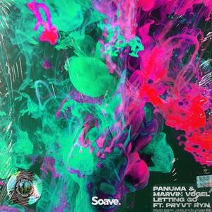 Letting Go(feat. PRYVT RYN) (Kaan Pars Remix)