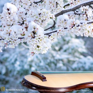 春庭雪·梦里叹 (伴奏)