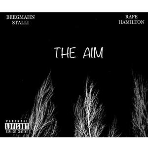 The Aim (Explicit)