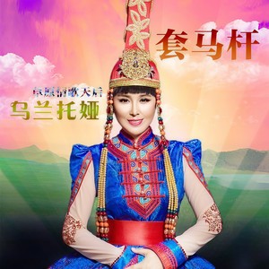 套马杆 (DJ何鹏版)封面