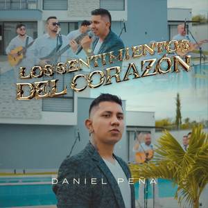 Los Sentimientos Del Corazón