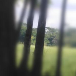 Looking darkness(feat. Saidur Rahman)