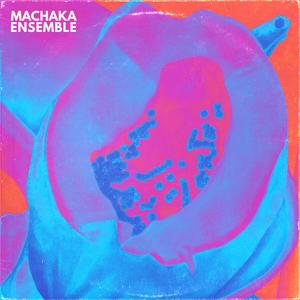 Afunkalipsis - Intruso (feat. Machaka Ensemble)